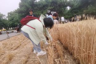 雷电竞苹果版下载app